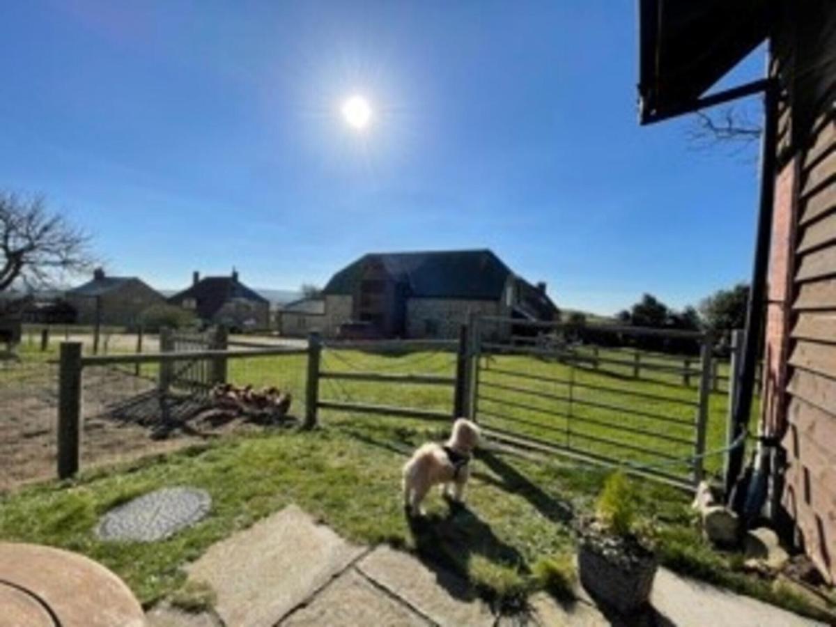 Poachers Hut - Captivating 1-Bed Cottage Shorwell エクステリア 写真